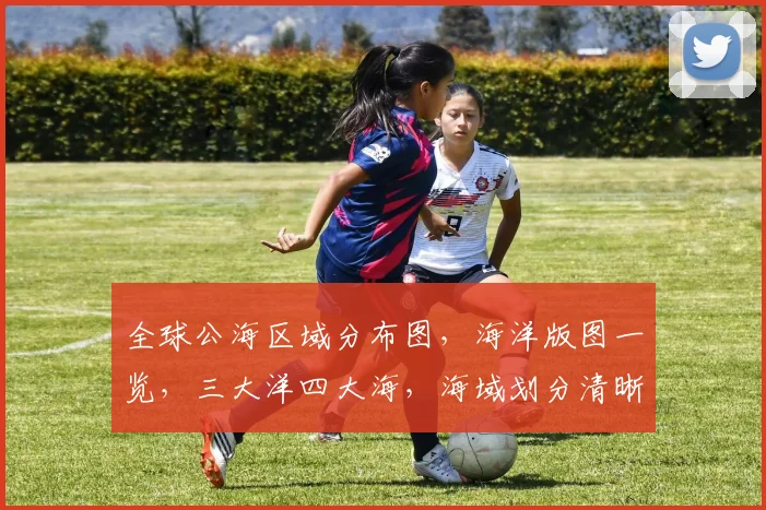全球公海区域分布图，海洋版图一览，三大洋四大海，海域划分清晰可见，探索未知海域。