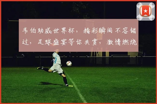 韦伯助威世界杯，精彩瞬间不容错过，足球盛宴等你共赏，激情燃烧的夏日